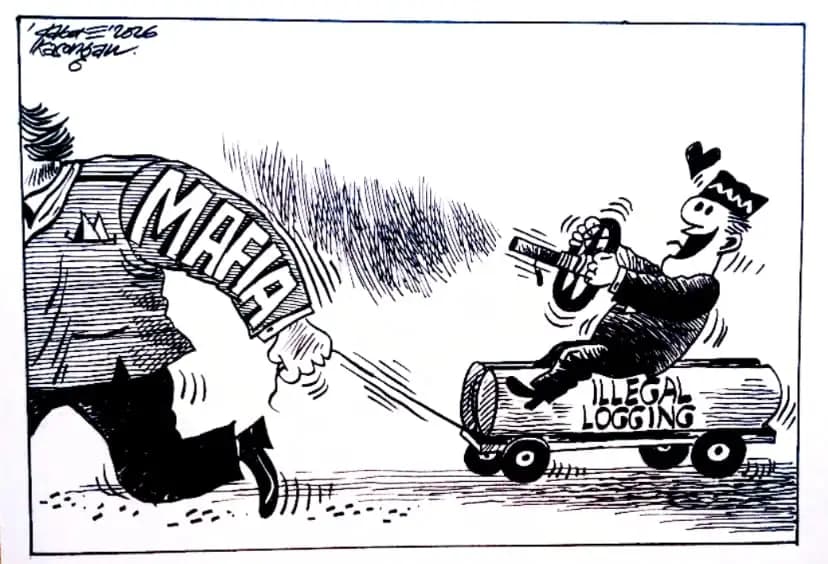 Karikatur - Ilustrasi - Mafia Perusakan Hutan (Dok MI)
