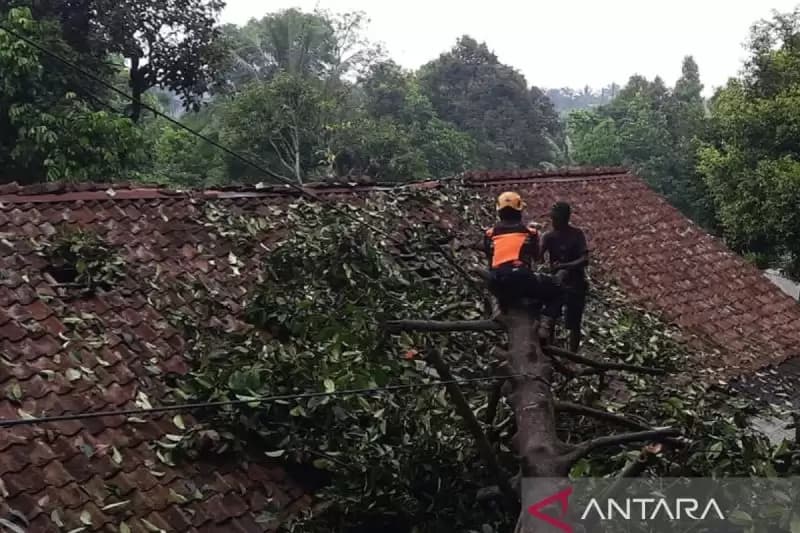 Longsor dan Banjir Lumpur Landa Beberapa Kecamatan di Sukabumi