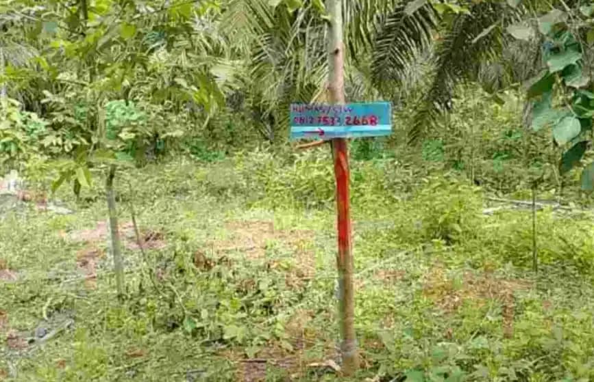1.583 Hektare Lahan PT Sukses Jaya Wood Disita Satgas PKH