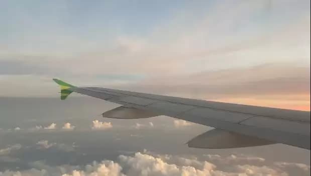 Istri Sah Labrak Suami Pilot Citilink Selingkuh dengan Pramugari, Kriminolog Singgung Jam Terbang