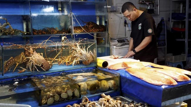 Jepang Desak China dan Rusia Cabut Larangan Impor