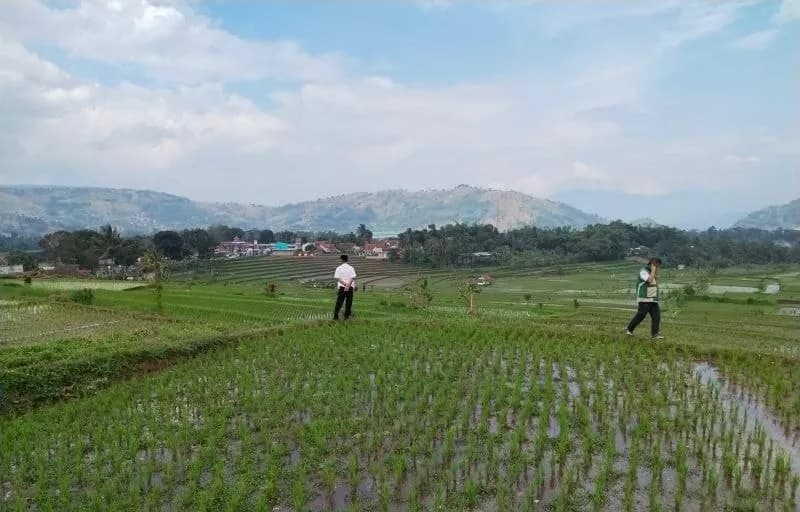 Hadapi Kemarau 2026, Kementan dan Jabar Perkuat Irigasi demi Selamatkan Pangan