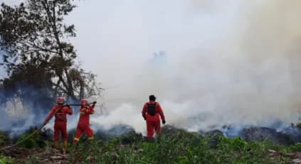 Usai Padamkan Karhutla di Bengkalis, Personel Manggala Agni Meninggal Dunia