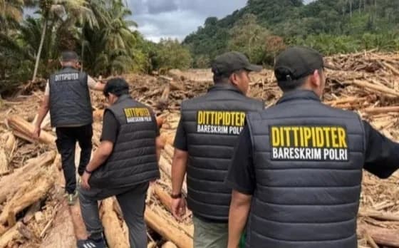 Cabut 28 Izin Perusahaan, Tapi Siapa Dipidana? Negara Disorot Soal “Setengah Hati” Tangani Skandal Lingkungan Sumatra