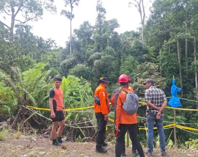 Minibus Masuk Jurang di Pakpak Bharat, Pasutri Penumpang Belum Ditemukan