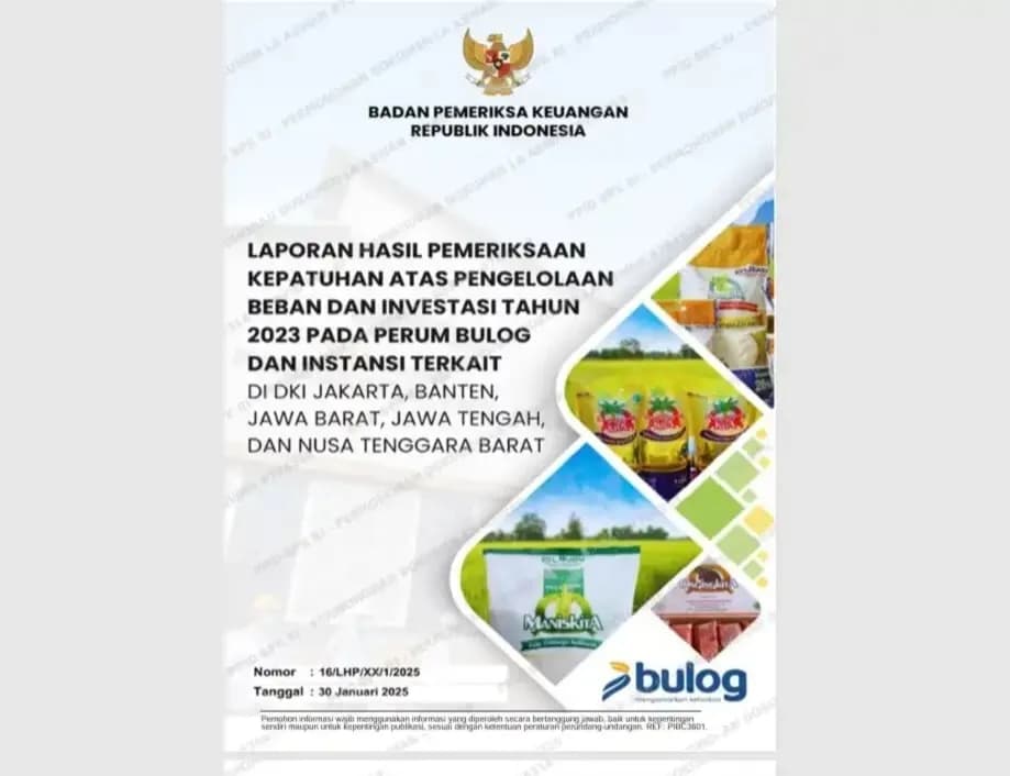 Temuan BPK di Bulog Disorot Tajam, Pakar Desak Aparat Bongkar Dugaan Kerugian Negara