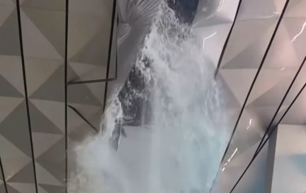 Hujan Deras, Atap Terminal 3 Bandara Soetta Jebol