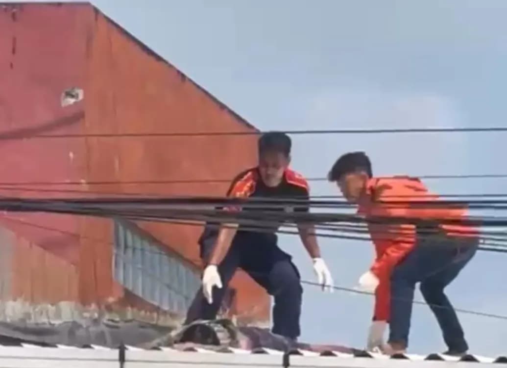 Bocah di Jember Tewas Tersengat Listrik saat Ambil Layang-layang di Atap Gedung