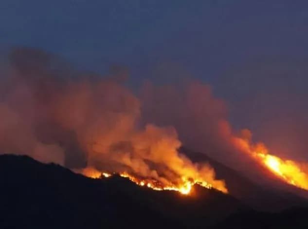 Kebakaran Hutan Besar di Jepang, Ribuan Warga Dievakuasi
