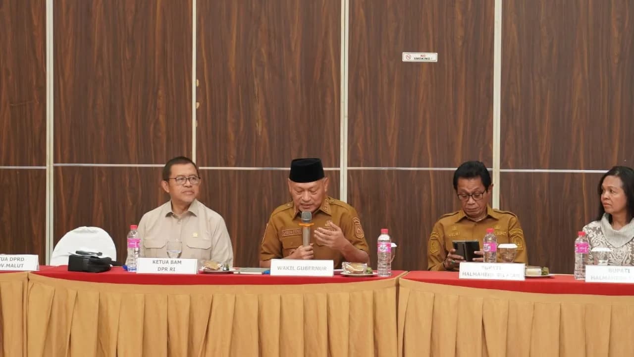 Di Hadapan BAM DPR RI, Wagub Malut Tagih DBH dan Kejelasan Nasib Sofifi