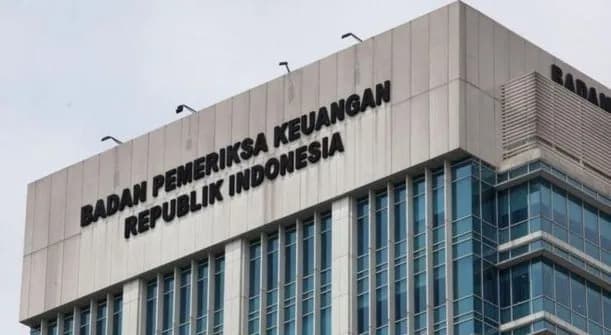 BPK Kuliti Nasre, Bulog, Abipraya dan Garuda: Salah Kelola hingga Ancaman Rugi Triliunan