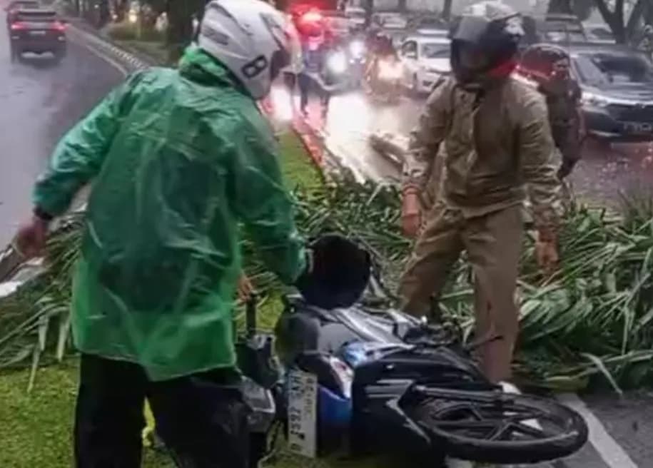 Tragis! Pohon Tumbang di Bogor Tewaskan Pengendara Motor