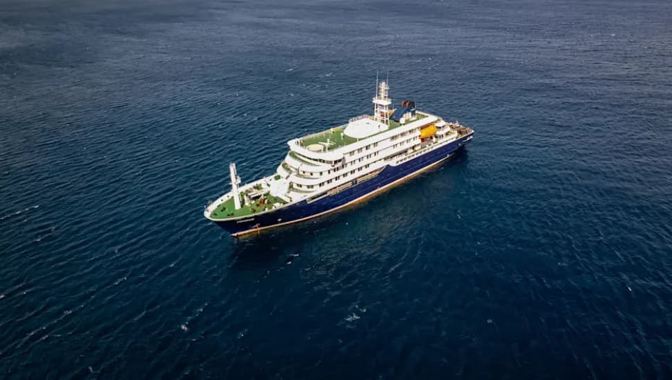 Wabah Mematikan Hantavirus di Kapal Pesiar, 3 Penumpang Tewas dan Lainnya Kritis