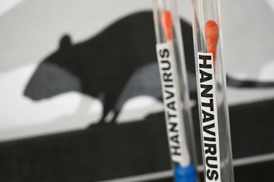 Waspada! Wabah Mematikan Hantavirus Mulai Menyebar