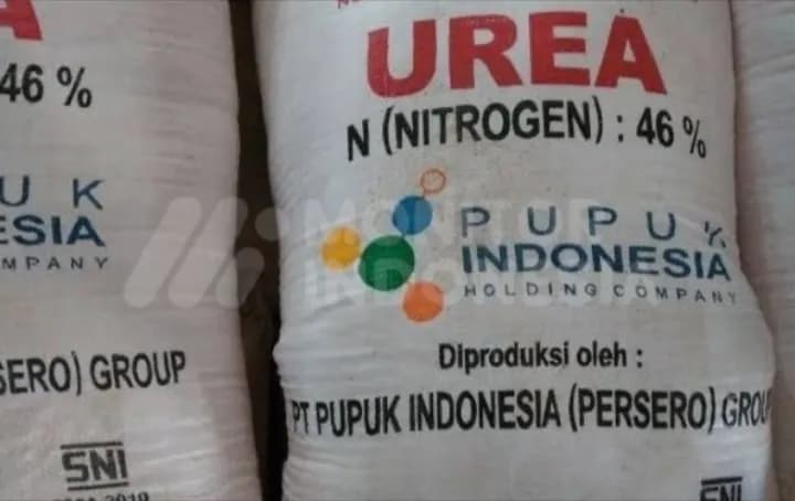 BPK Bongkar Lemahnya Pengawasan Pupuk Subsidi, Potensi Pemborosan dan Salah Sasaran Membesar