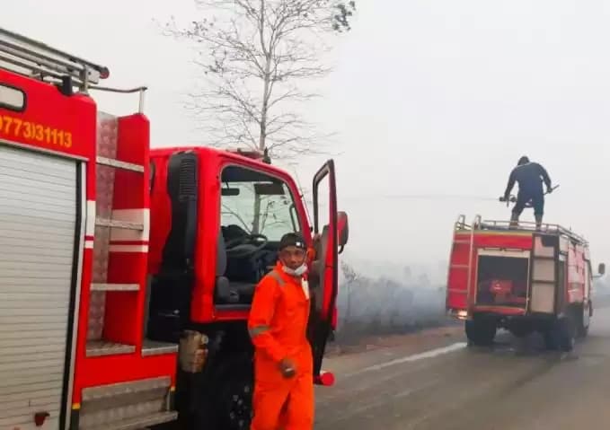 Lahan 240 Hektare di Natuna Hangus Terbakar