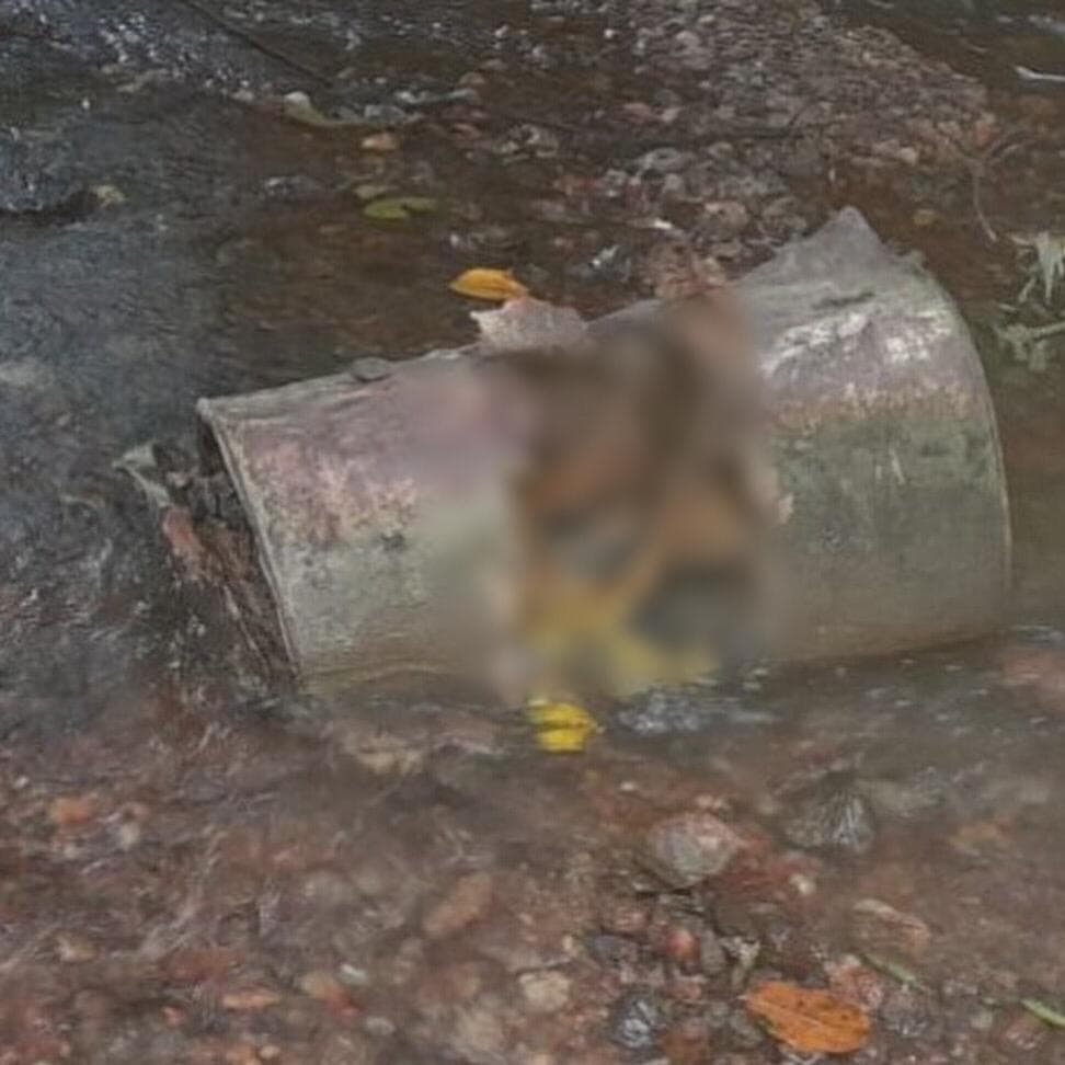 Terungkap! Kerangka Manusia Dicor dalam Drum di Aceh Besar Berjenis Kelamin Laki-laki