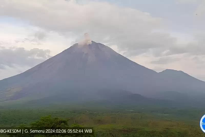 Gunung Semeru Muntahkan Abu Vulkanik Setinggi 500 Meter
