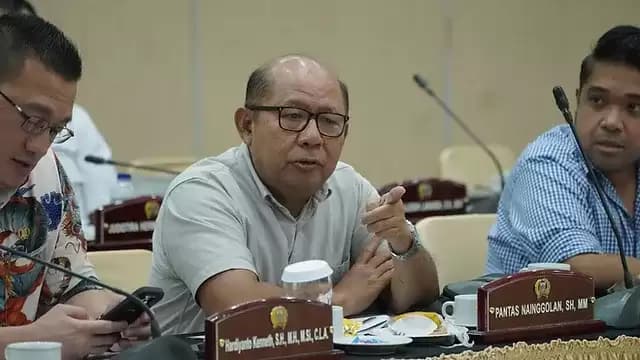 Pantas Nainggolan Ditunjuk Megawati Jadi Sekretaris DPD PSIP DKI Jakarta