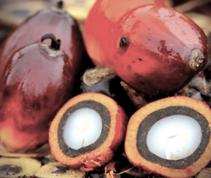 Bos Penerbangan Angkasa Semesta Ikut Terseret Kasus Korupsi CPO Rp 6,47 Triliun