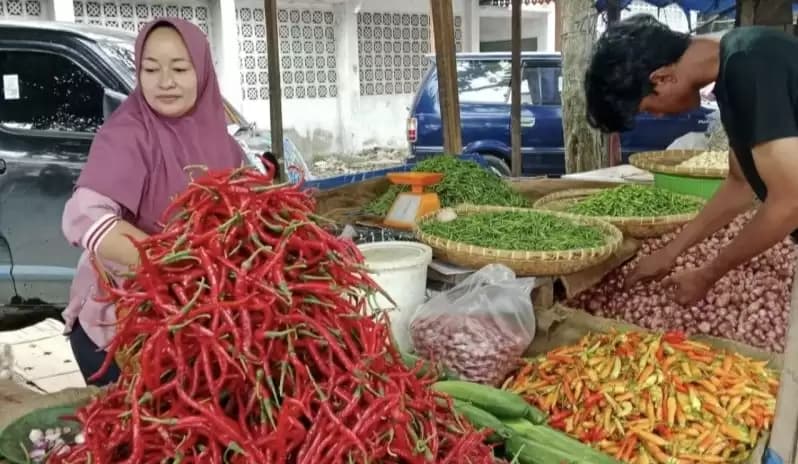Harga Jual Cabai Merah di Pekanbaru Alami Penurunan