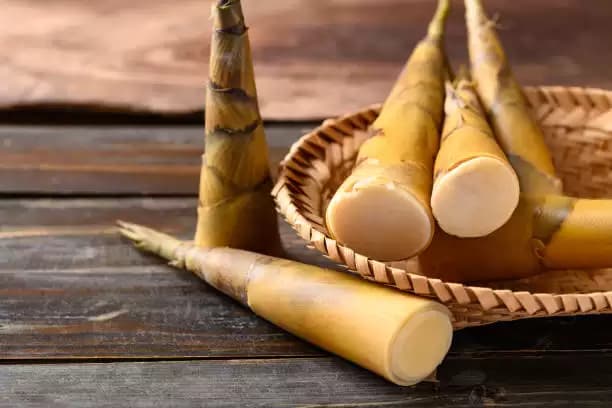 3 Manfaat Konsumsi Rebung Bagi Kesehatan