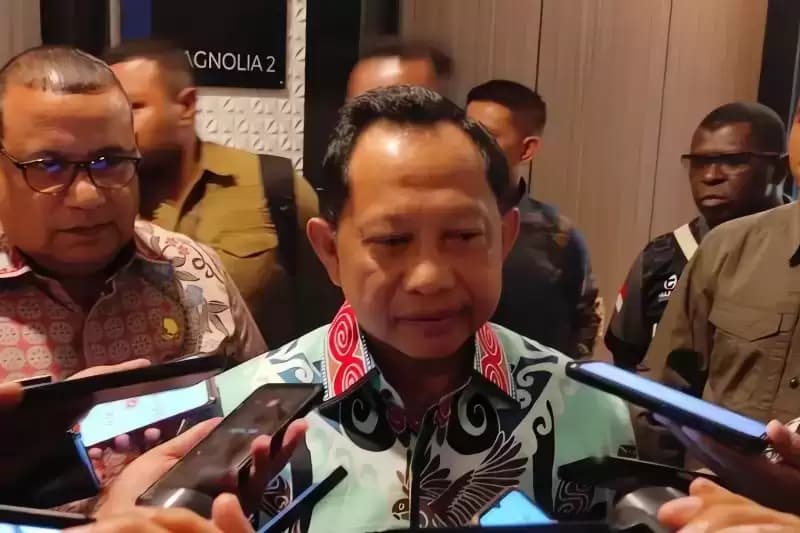 Mendagri Minta Maskapai Tak Naikkan Harga Tiket Saat Lebaran