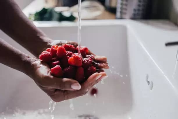 5 Jenis Makanan yang Baik Dikonsumsi Penderita Asam Urat Tinggi