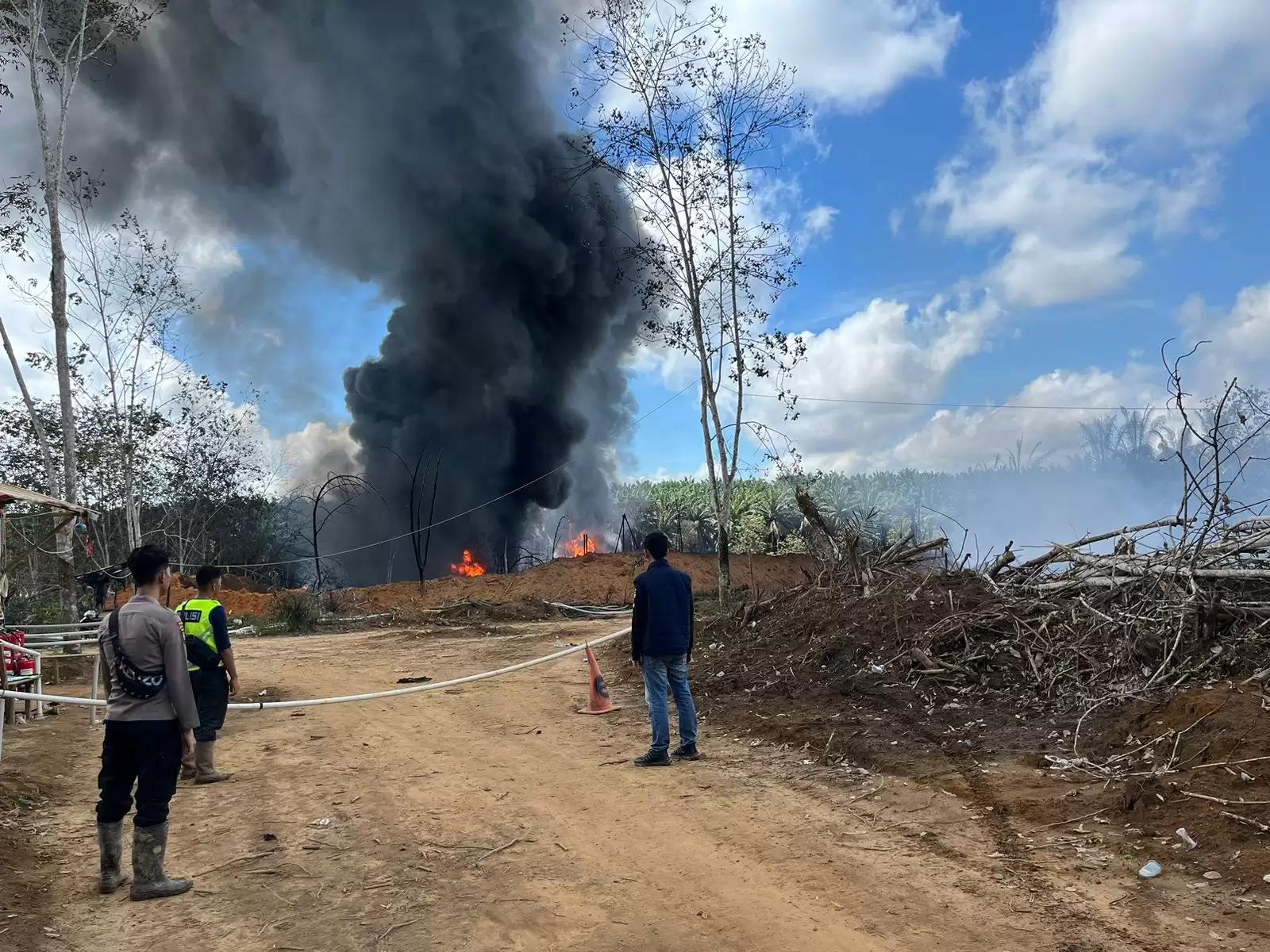 Polda Sumsel didesak bertindak cepat karena peredarannya sudah meluas (Foto: Dok MI/Ist)