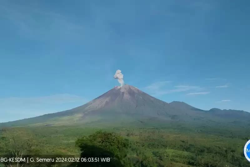 Erupsi Lagi, Gunung Semeru Muntahkan Abu Vulkanik Setinggi 800 Meter ke Arah Tenggara