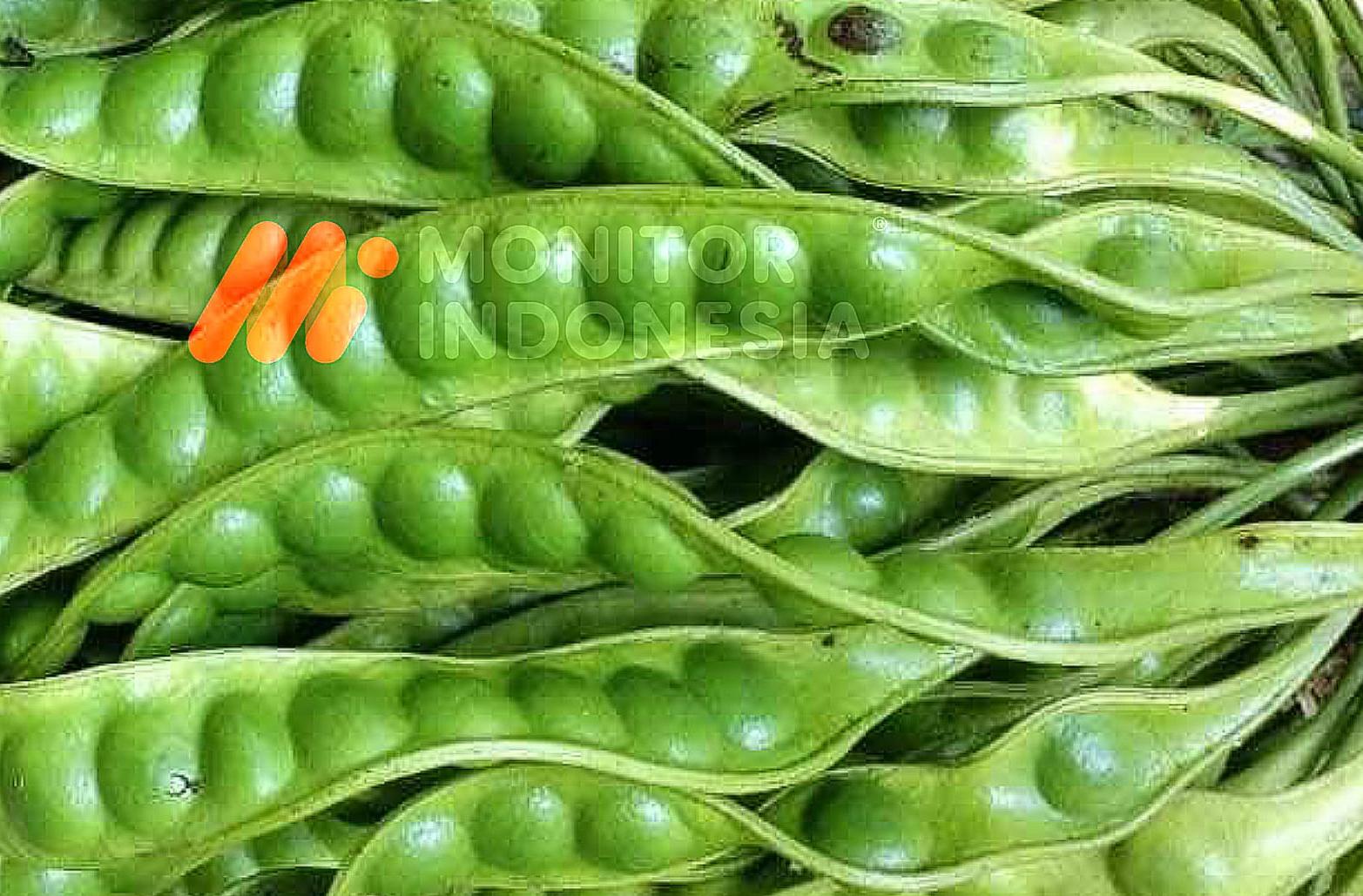 Manfaat Mengkonsumsi Petai Bagi Tubuh