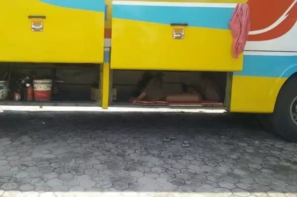 MTI Pusat Ungkap Potensi Kecelakaan Masa Nataru, Harap Berhati-hati!