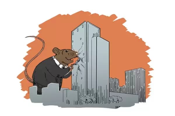 Korupsi Furnitur Rujab DPR Miliaran Rupiah, KPK Terapkan Pasal Berlapis!