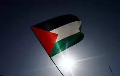 Maksa Copot Bendera Palestina, Satpam Apartemen Springlake Summarecon Dipecat