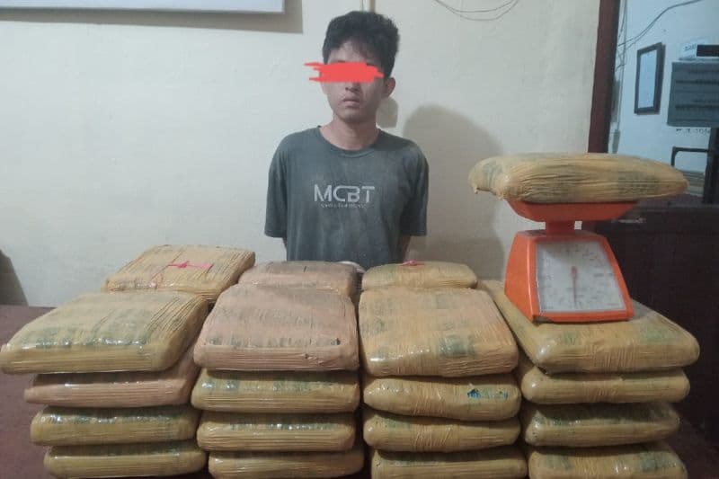 Kurir 35 Kilogram Ganja Ditangkap