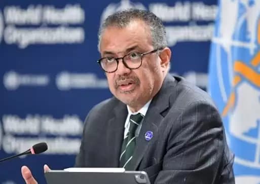WHO Desak Gencatan Senjata di Gaza
