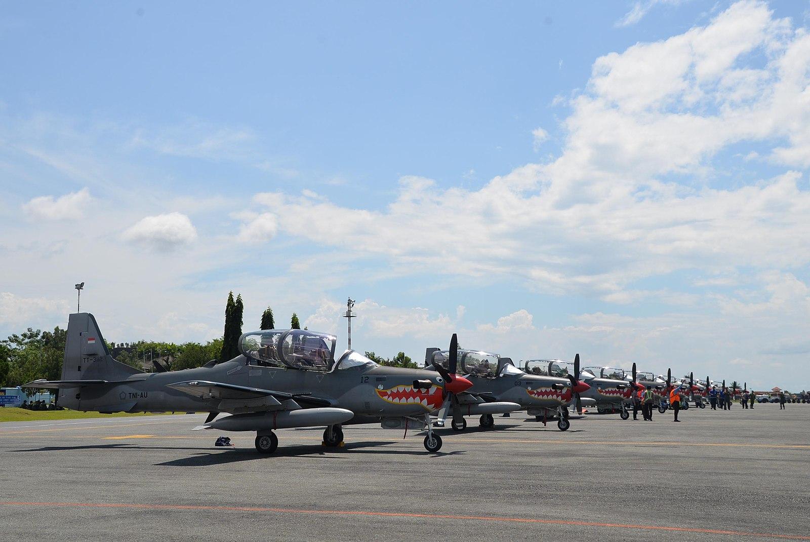 Ternyata Segini Usia 2 Pesawat TNI AU yang Jatuh di Pasuruan