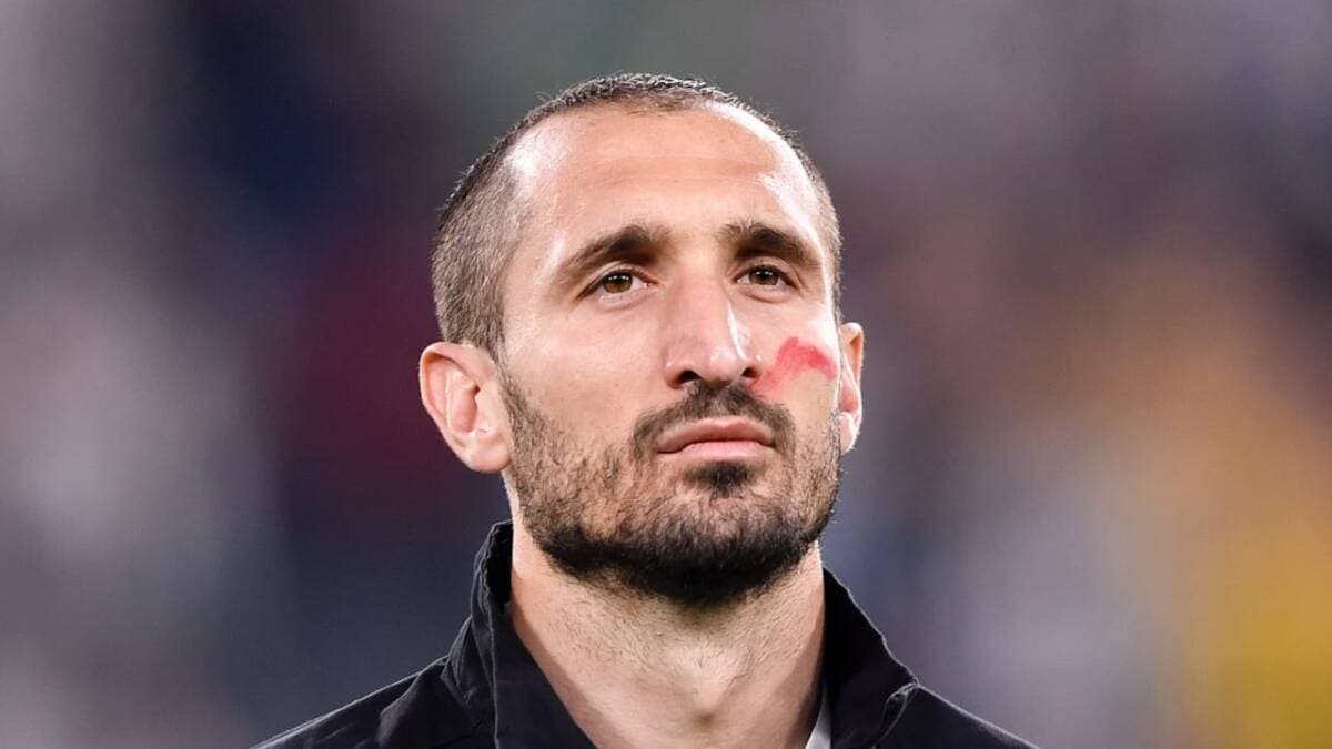 Chiellini Berencana Pensiun Bersama Ibrahimovic