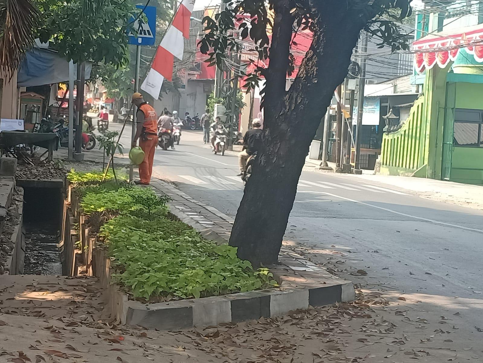 Panangaran Ritonga Bangun Taman di Pinggiran Jalan Raya
