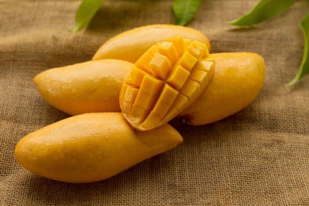 Manfaat Buah Mangga untuk Kesehatan