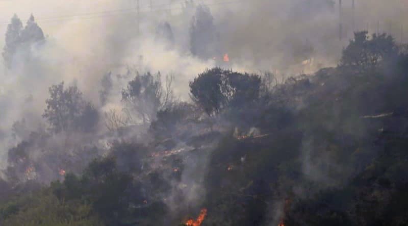 Kebakaran di Chile Tewaskan 99 Orang dan 1.600 Kehilangan Rumah
