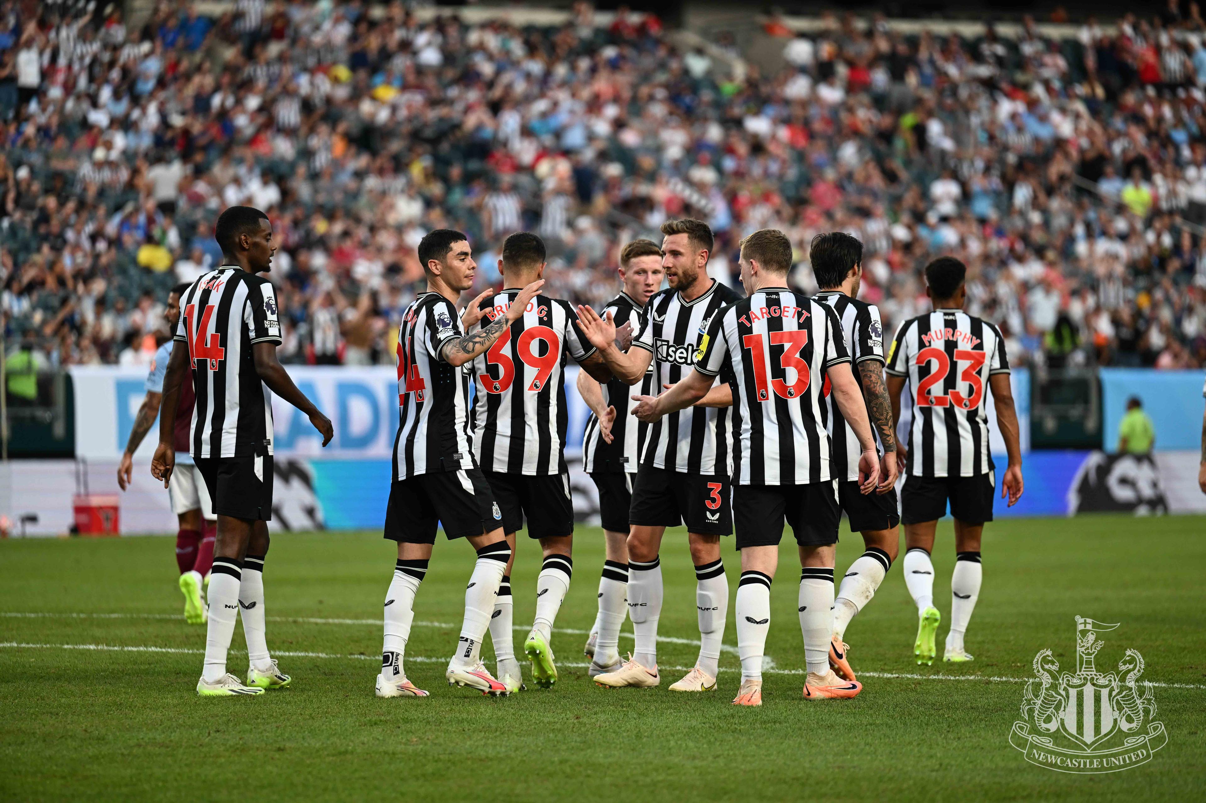 Link Live Streaming Brighton vs Newcastle di Liga Inggris