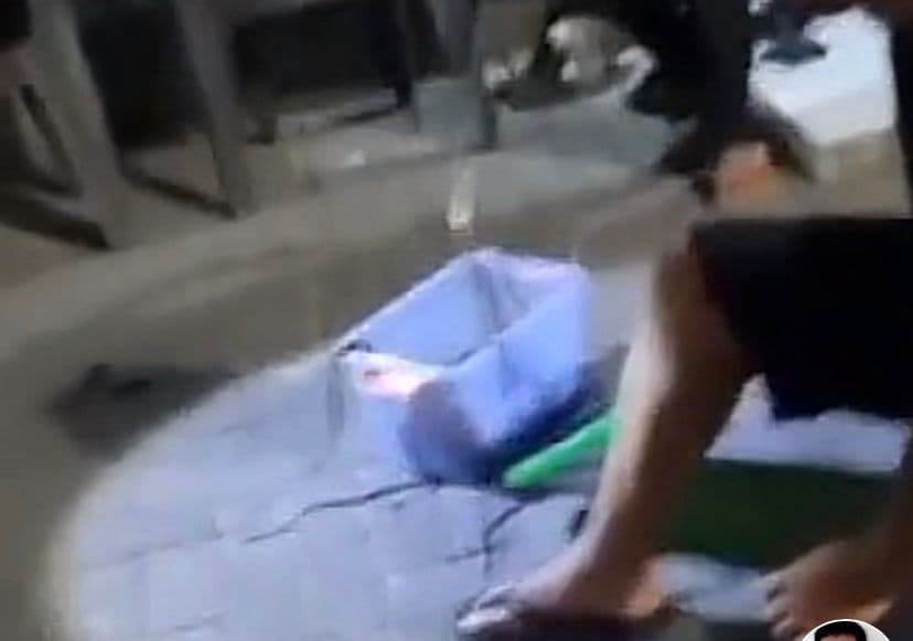 Dosen di Colomadu Diteror Paket Berisi Belasan Ular