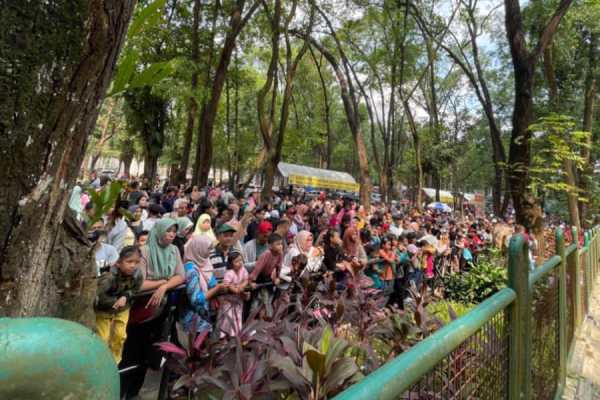 Pecah Rekor, Pengunjung Taman Margasatwa Ragunan Capai 125.976 Orang