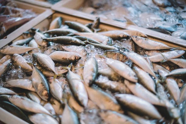 5 Jenis Ikan yang Tidak Boleh Dikonsumsi Penderita Kolesterol