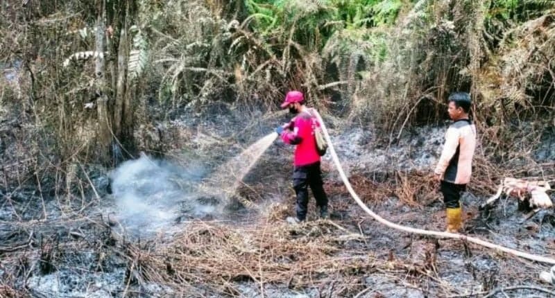BMKG Temukan 25 Titik Panas di Kalimantan Timur