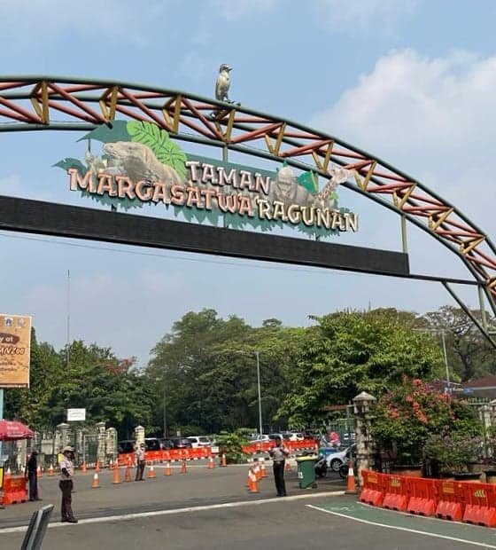 Pengunjung Harus Tahu, Ini Akses Pintu Masuk Taman Margasatwa Ragunan