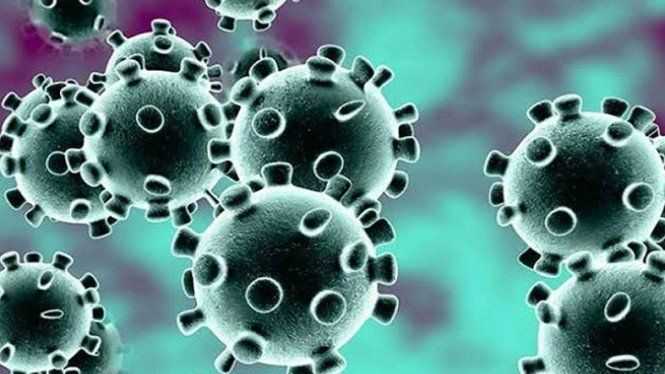 Virus Corona Cepat Kehilangan Kemampuan di Udara