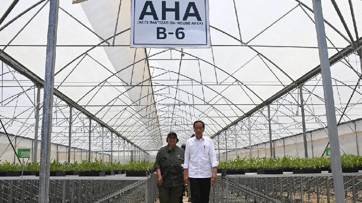 Presiden Joko Widodo Minta IKN jadi Forest City