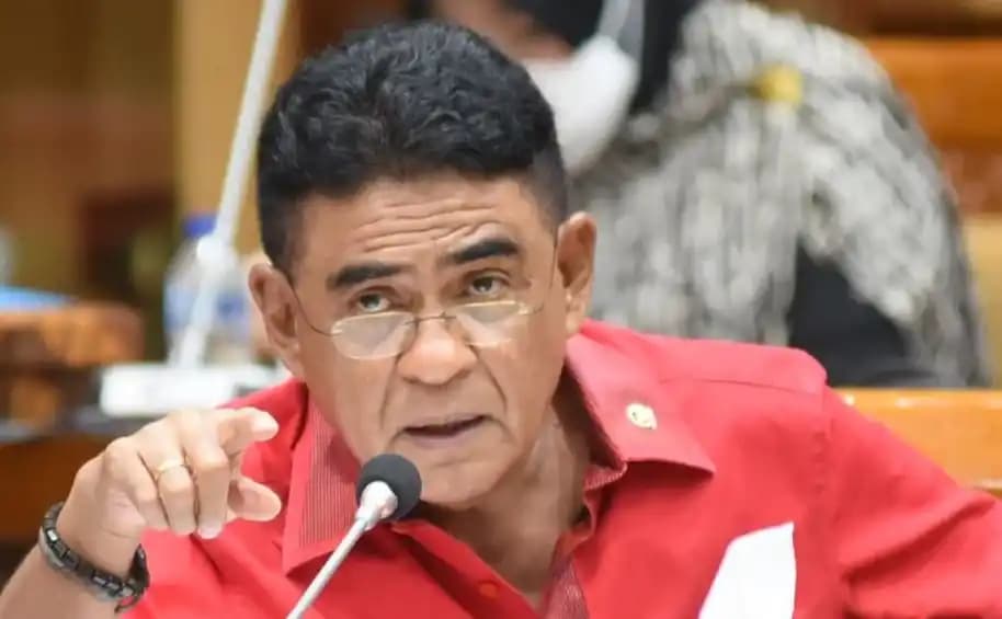 Penentuan Keabsahan Aktivis HAM oleh Pemerintah, PDIP: Pemerintah Menjadi Aktivis Pelindung Pelanggar HAM